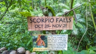 Scorpio-Falls-Siquijor-01